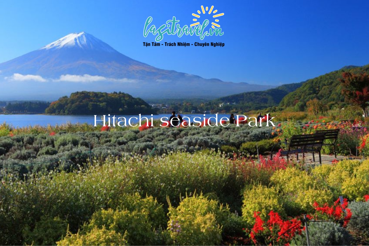 Chơi gì ở Hitachi seaside park Nhật Bản