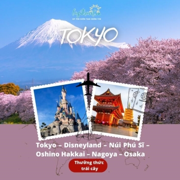 Du lịch Nhật Bản Tokyo, Disneyland, Núi Phú Sĩ, Oshino Hakkai